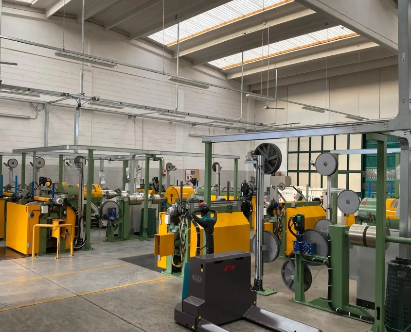 Immagine WhatsApp 2024-07-08 ore 23.18.58_72b665bd